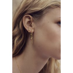 Maanesten - Verona reringe, Forgyldt