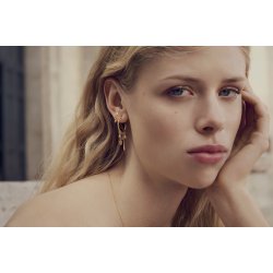 Maanesten - Cadenta reringe, Forgyldt