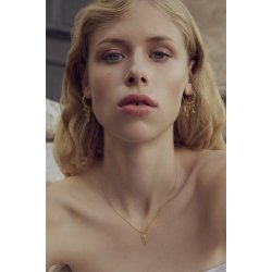 Maanesten - Verona reringe, Forgyldt