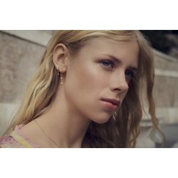 Maanesten - Nuova reringe, Forgyldt