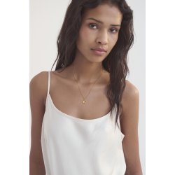 Maanesten - Dualism Vedh�ng, Forgyldt