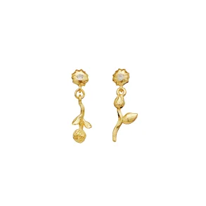 Maanesten - Amaria reringe