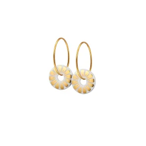 Scherning - Bloom �reringe, Golden Glow