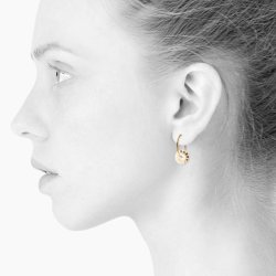 Scherning - Bloom �reringe, Golden Glow