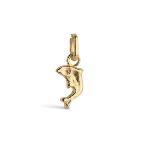 Enamel - Joyful Dolphin Charm