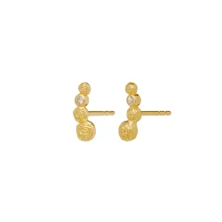 Maanesten - Diantha reringe