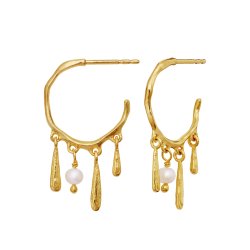 Maanesten - Fricka reringe, Forgyldt