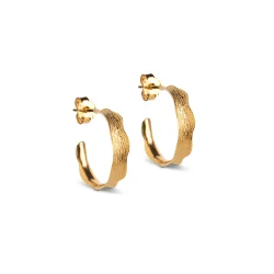 Enamel - Ane Small Hoops, Forgyldt