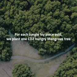 byBiehl - Jungle Ivy Hoops Pearl