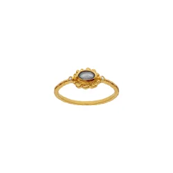 Maanesten - Lia Ring, Forgyldt