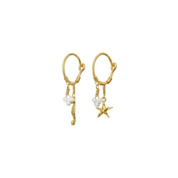 Maanesten - Momi reringe