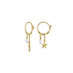 Maanesten - Momi reringe