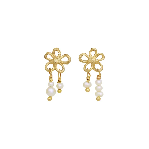 Maanesten - Nicola �reringe, Forgyldt