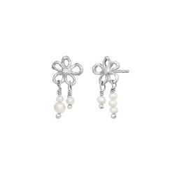 Maanesten - Nicola �reringe, Forgyldt