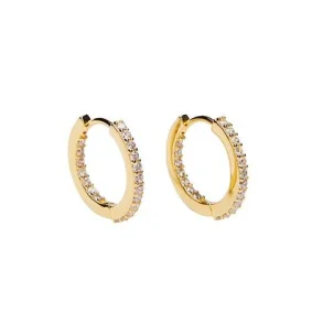 Pico - Rainy Medium Hoops, Clear