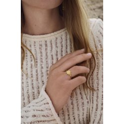 Maanesten - Sonja Ring