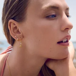 Maanesten - Morgan reringe