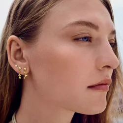 Maanesten - Caia reringe