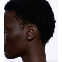 Maria Black - Shibuya Ni restik