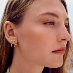 Maanesten - Amaria reringe