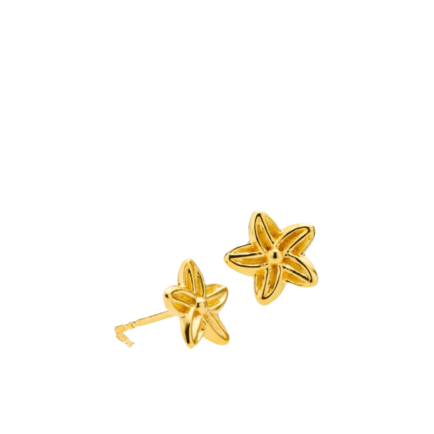 Izabel Camille - Rosalina reringe