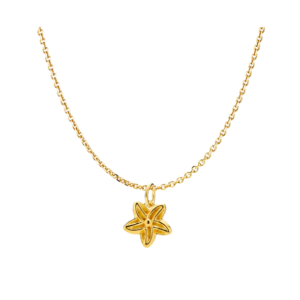 Izabel Camille - Rosalina Halskde