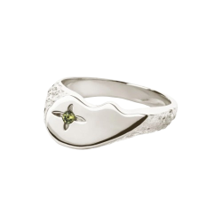 Camille Brinch - Shiny BFF Sparkly Ring, Slv