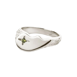 Camille Brinch - Shiny BFF Sparkly Ring, Slv