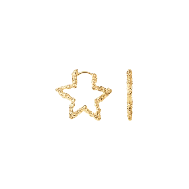 Camille Brinch - Star Sparkly Hoops, Forgyldt