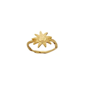 Maanesten - Sonja Ring