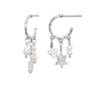 Maanesten - Susu �reringe, S�lv