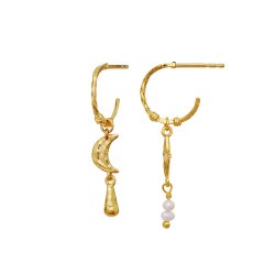 Maanesten - Tamina reringe, Forgyldt