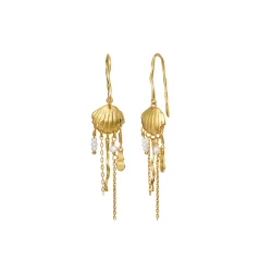 Maanesten - Zale reringe