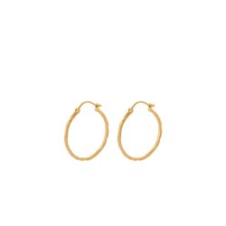 Pernille Corydon - Ice Creoles