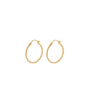 Pernille Corydon - Ice Creoles