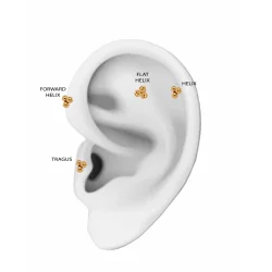 Sistie 2nd - Tris Helix, Forgyldt