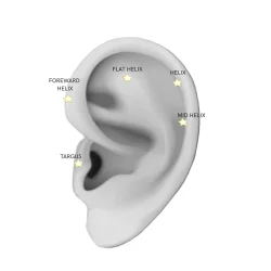 Sistie 2nd - Little Star Helix, Forgyldt