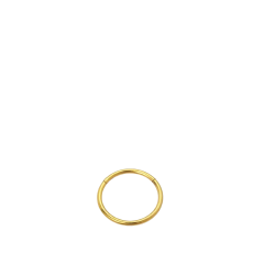 Sistie 2nd - Ringline Helix, Forgyldt
