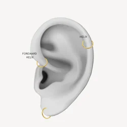 Sistie 2nd - Ringline Helix, Forgyldt