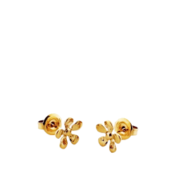 Sistie 2nd - Celeste �restikker, Forgyldt